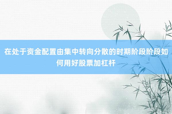 在处于资金配置由集中转向分散的时期阶段阶段如何用好股票加杠杆