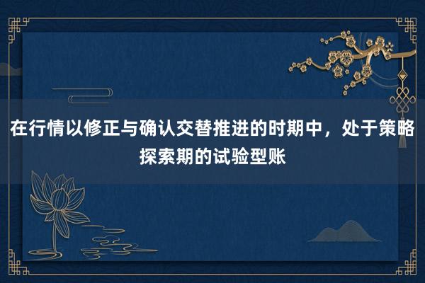 在行情以修正与确认交替推进的时期中，处于策略探索期的试验型账